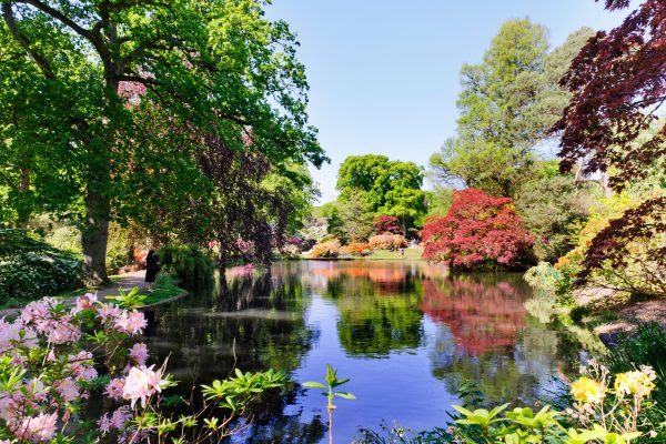 The coming together of music and gardening