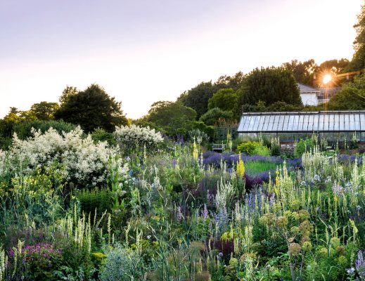 Kate Stuart-Smith and the creation of her effortlessly romantic English country garden