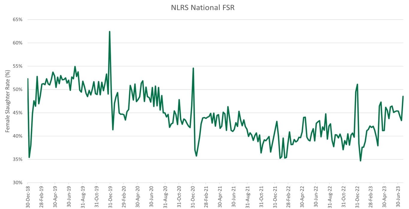 Female slaughter ratio climbs above herd liquidation ‘tipping point’