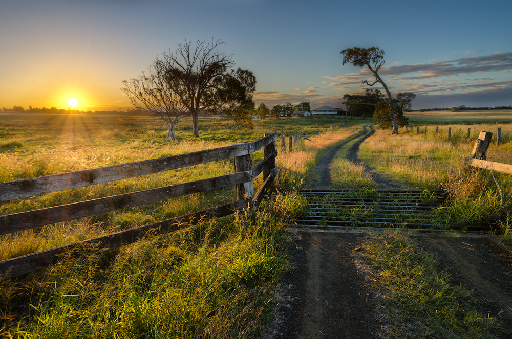 Strong growth for Australian broadacre farmland prices – especially the high rainfall zone