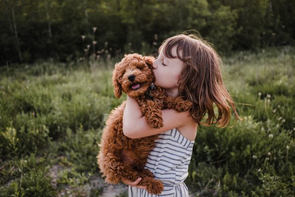 How to introduce a puppy to your kids, by expert trainer Ben Randall