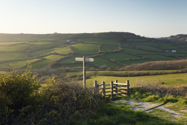 Jason Goodwin: They’ve started measuring distances in minutes. But what of loitering and lingering? What of the flowers of the wayside and the hill views?