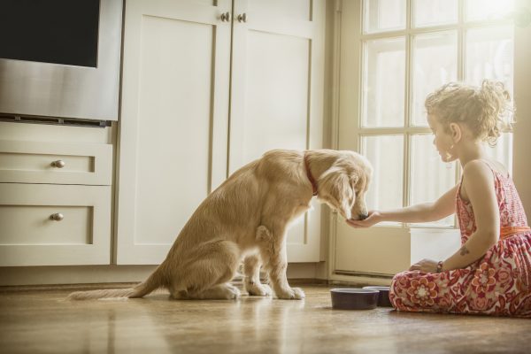 ‘Help! My dog will only eat if I feed him by hand!’: Ben Randall answers your canine questions