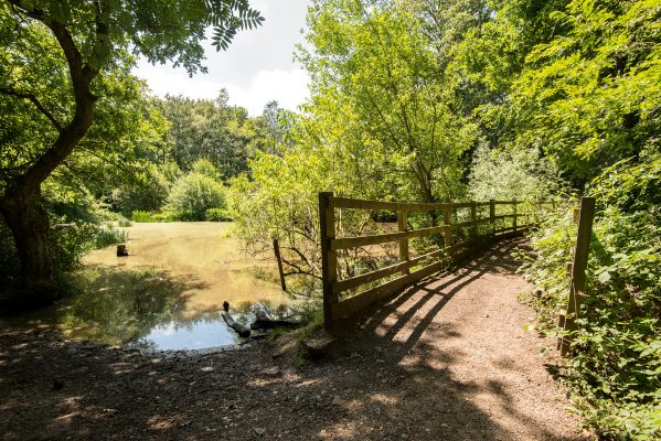 How Wimbledon went from a backwater of 46 houses to the capital’s greenest suburb, ‘as un-Londonish as if it were a hundred miles out’