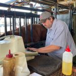 Success at Trangie Junior Judging Day