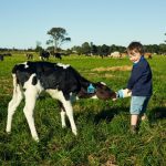 Paying $100m more & getting less: biosecurity below pre-COVID levels