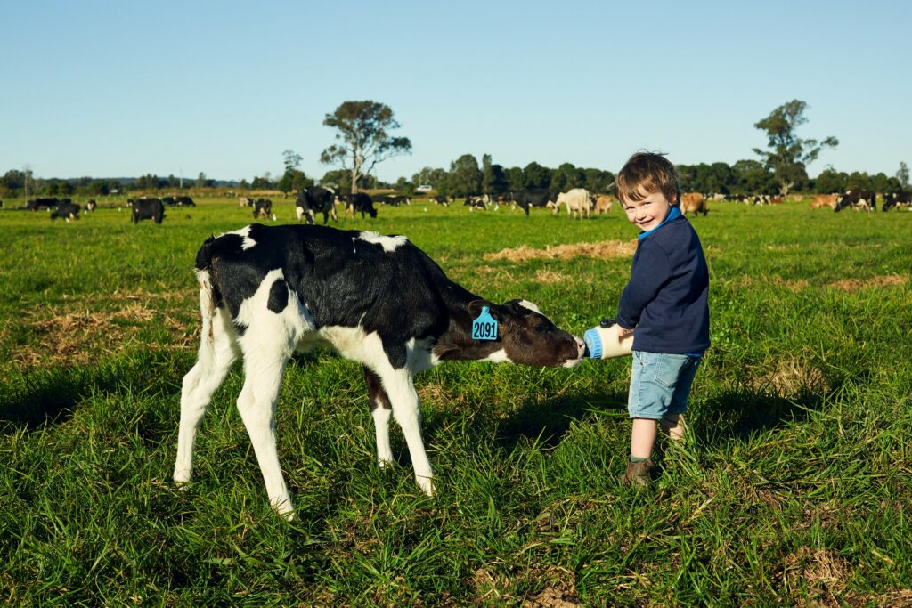 Milking more from dairy products saves money, cuts food waste