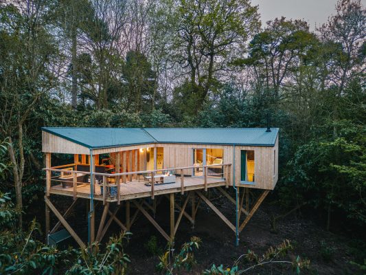 Rewild Things review: Brand new treehouses on an ancient estate, bound to help you reconnect with your inner child