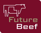 FutureBeef website has funding renewed for another four years