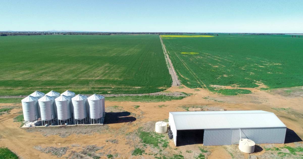 High quality grain, grazing land for about $3500/ha