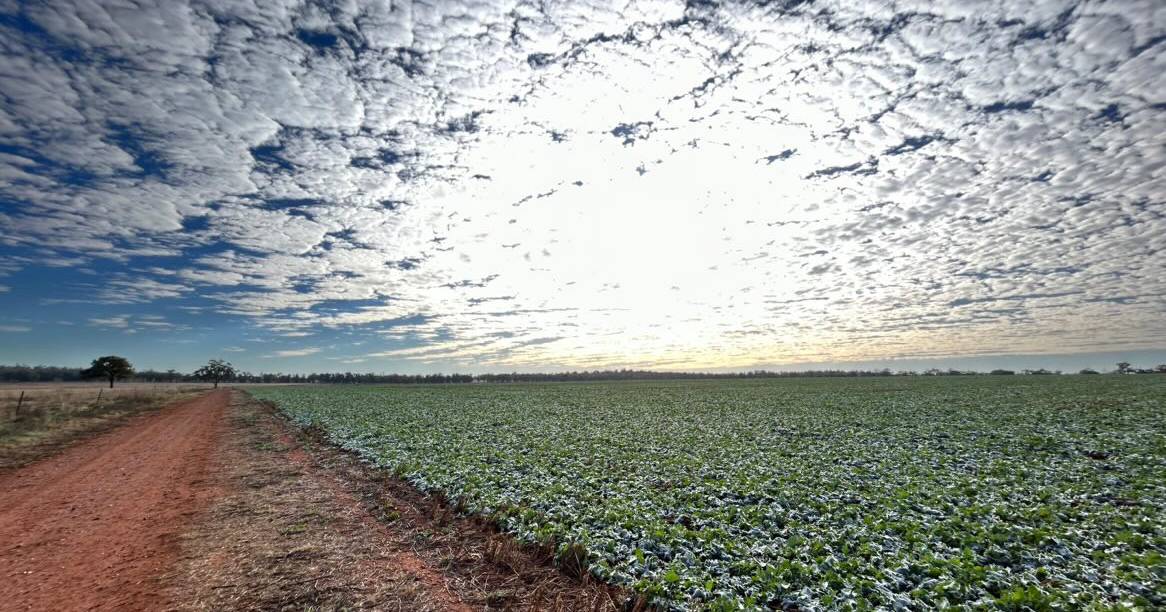 Weather photos from around NSW in July | The Land