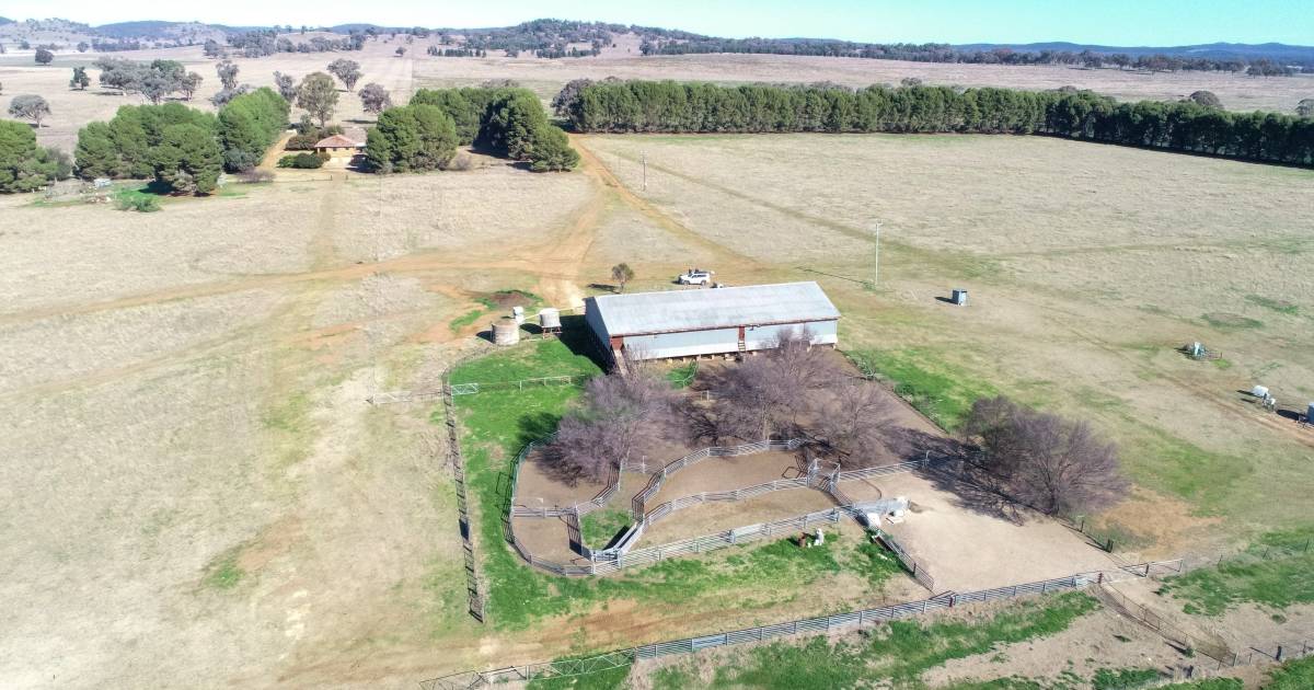 Well known sheep breeders put prized farm aggregation up for sale