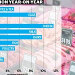 Two years on flood debris causes cane harvest damage but prices are at record high | The Land