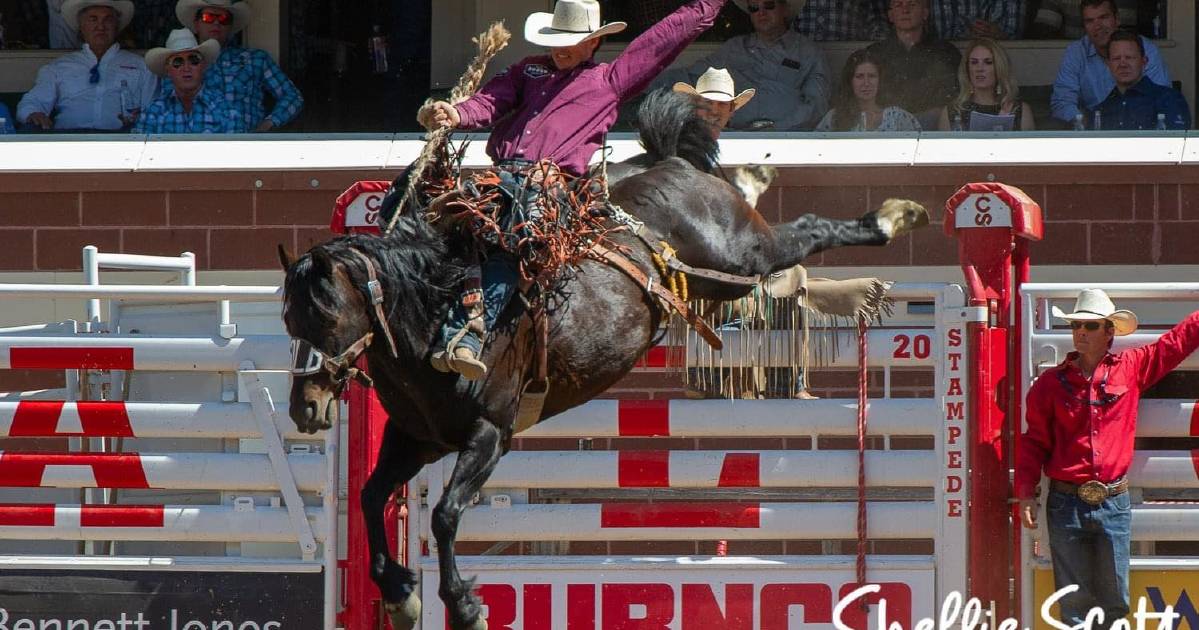 Damian Brennan’s Calgary Stampede saddle bronc ride scores well | Queensland Country Life