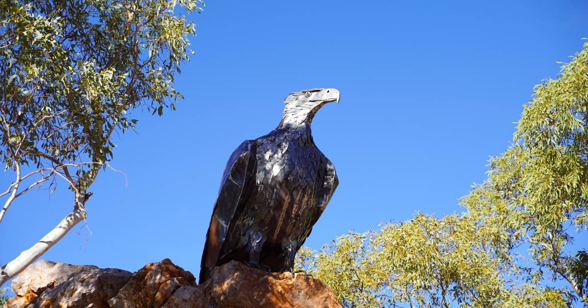 Eagle eyes watch over Cloncurry