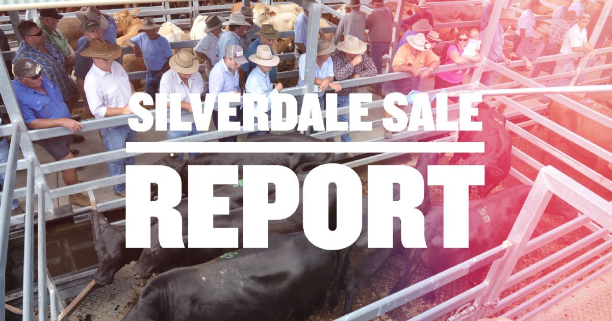 Market steady at Silverdale