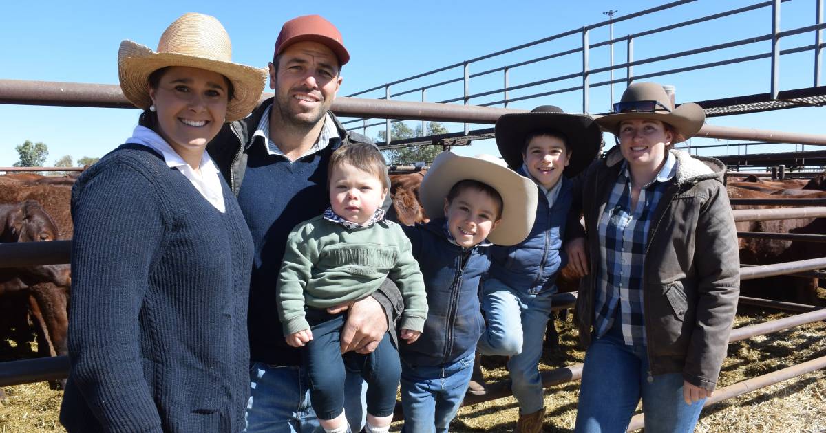 Animal welfare concerns force Alice Springs market cancellation