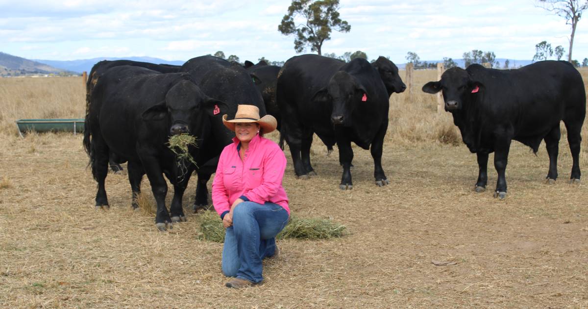 Love of cattle drives Three Hearts to breed quality cattle