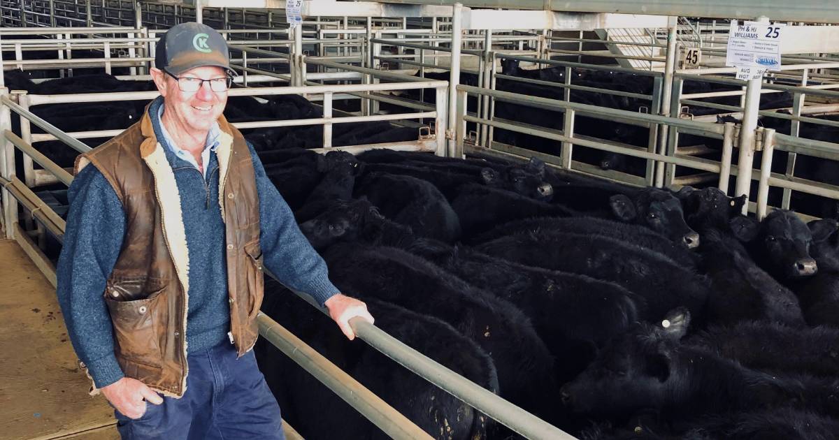 Cows with calves sell to $1740 at Forbes