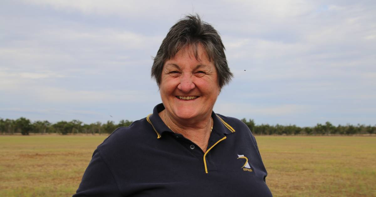 Marie Vitelli retires after 40 years of rural advocacy | Queensland Country Life