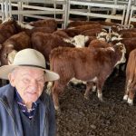 New pasture resilience program to help beef productivity | Queensland Country Life