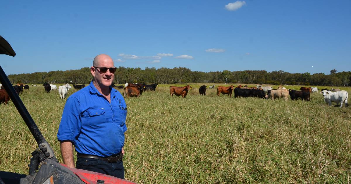 Salisbury Plains Grazing, Bowen and Proserpine