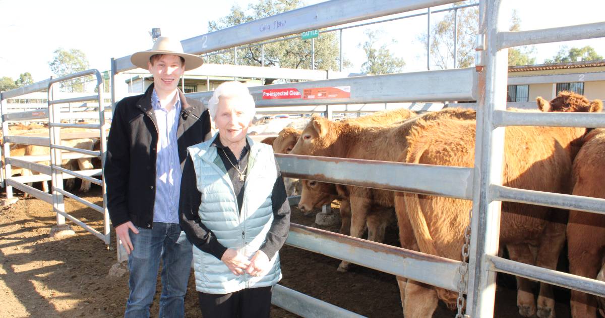 Overall 16,000 Brisbane Valley bred weaners sell into three states in three months | Queensland Country Life