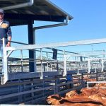 QCWA members talked up a storm in Forrest Beach | The North West Star