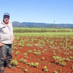 Call to hand struggling Lake Wyangan over to state government