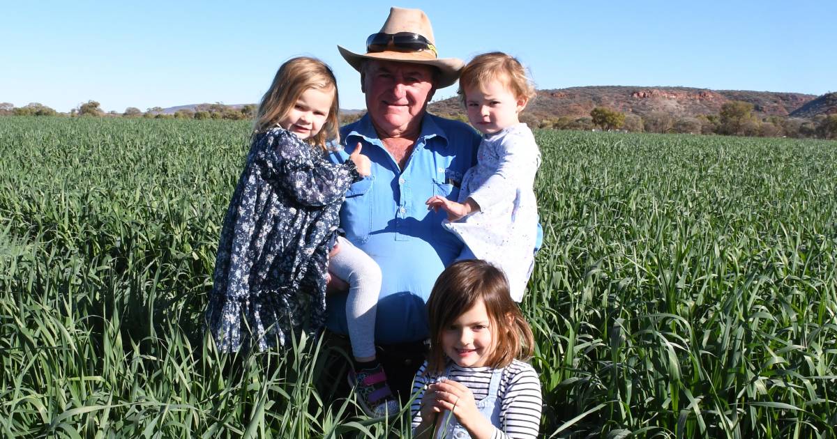 Central Australian beef producers making most of good times