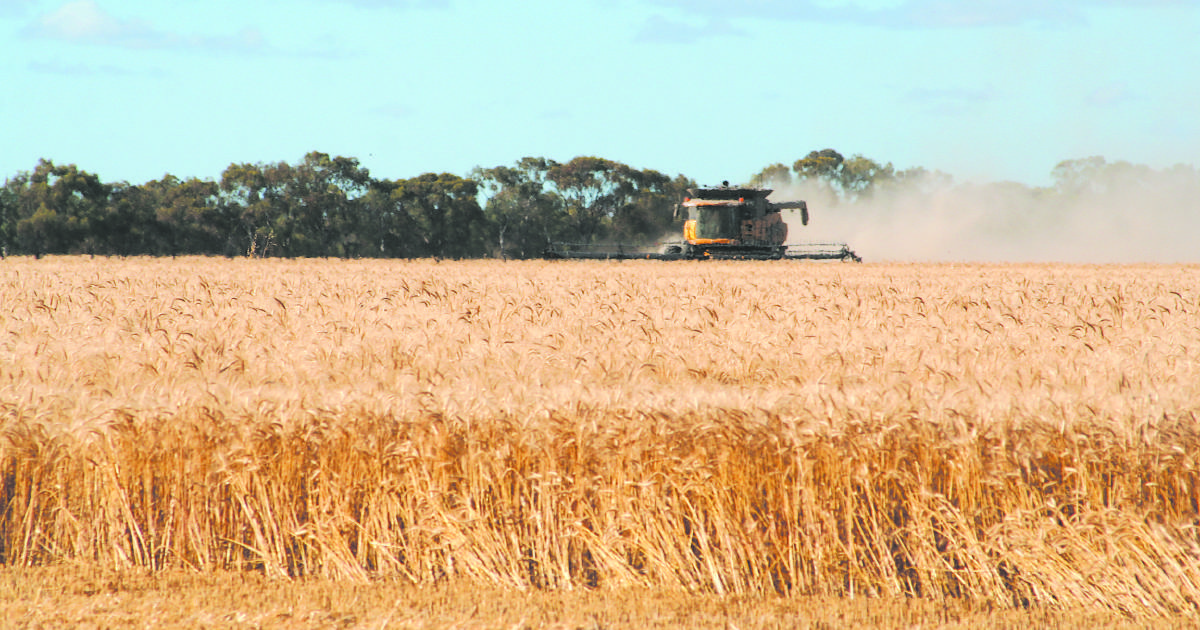 Harvest could reach 18mt