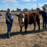 Bowen Gumlu Growers’ Regional Capacity Through Migration Forum | Photos | North Queensland Register