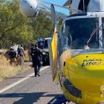 Cattle truck rollover south of Charters Towers claims 18 | North Queensland Register