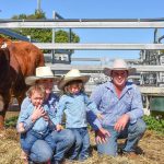 Competition for younger cattle at Woodford