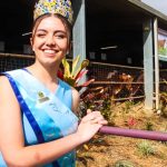 Sun shines on Mudgee Field Days