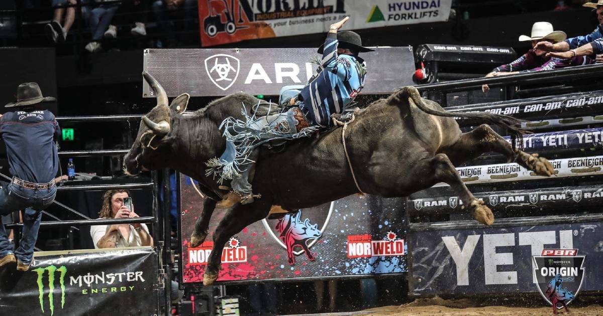 Queensland bull riders win another State of Origin series as NSW claim finale