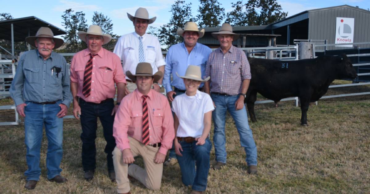 Knowla Angus tops at $40,000, three times