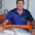 Weaner steers reach 378c at Roma