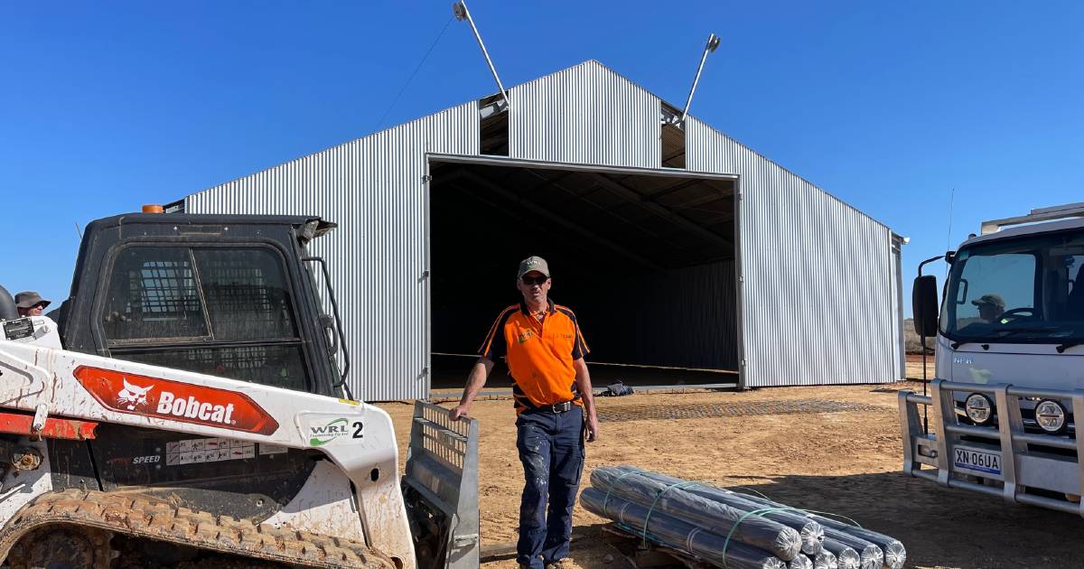 WRL Engineering Warren sealed sheds booked out after mouse plague | The Land