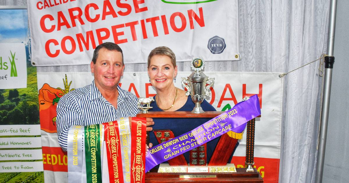 Seifert Belmont Reds’ successful debut at the 2023 Callide Dawson Beef Carcase Competition | Queensland Country Life