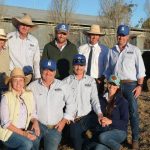 NSW Shorthorns Spring Fling Bull Sale sells to $10,000 top