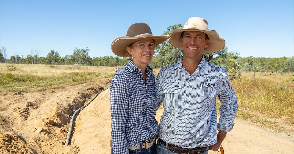 Central Queensland beef producers building farm resilience with goat expansion