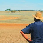 North Queensland business defends 'wind turbine graveyard' claims