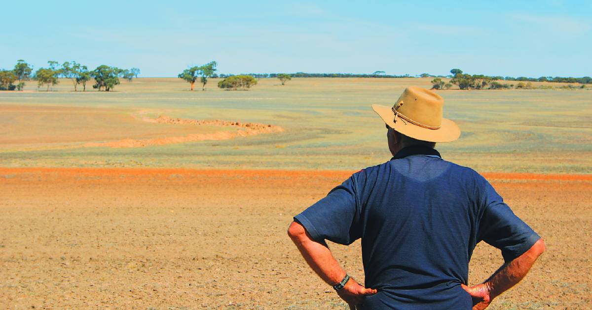 WA cultural protection laws may 'sweep across the Nullarbor'