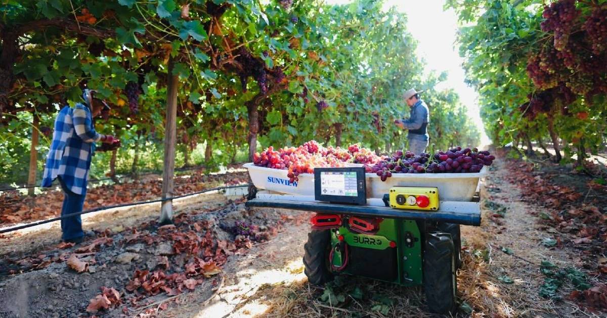 Surge in key regions to boost horticulture with forecast of $21b by 2030 | The Land