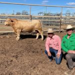 St Lawrence’s ponded pasture showcase Granite Vale makes $14.1m