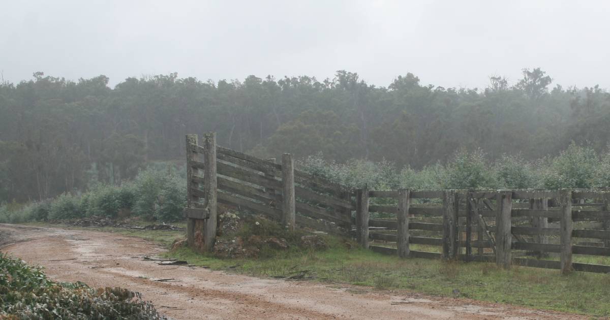 ABARES says WA farmland values rise rapidly | Farm Weekly