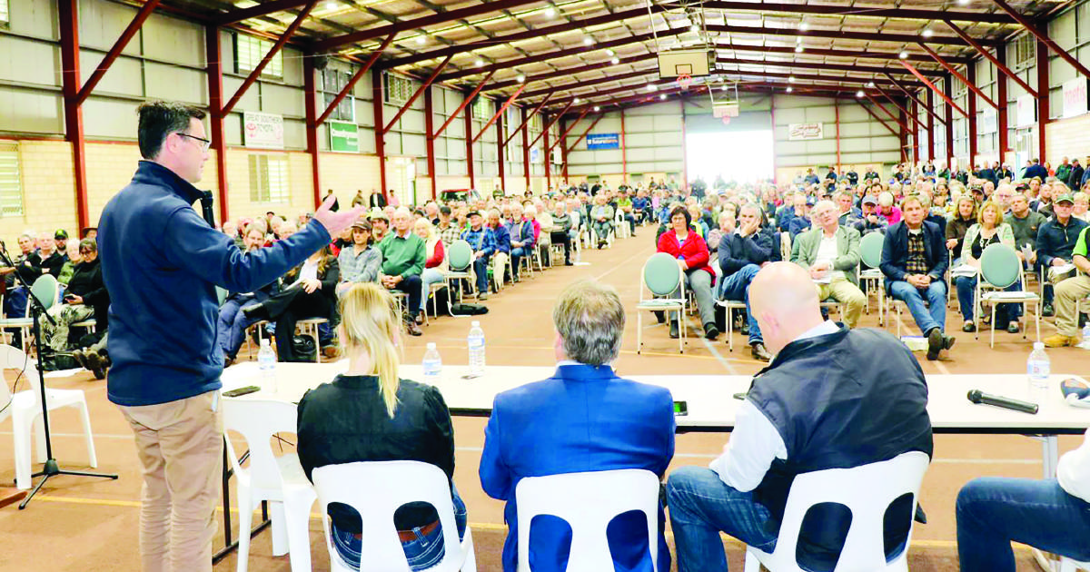 Farmers fight for future of live sheep by sea trade | Farm Weekly