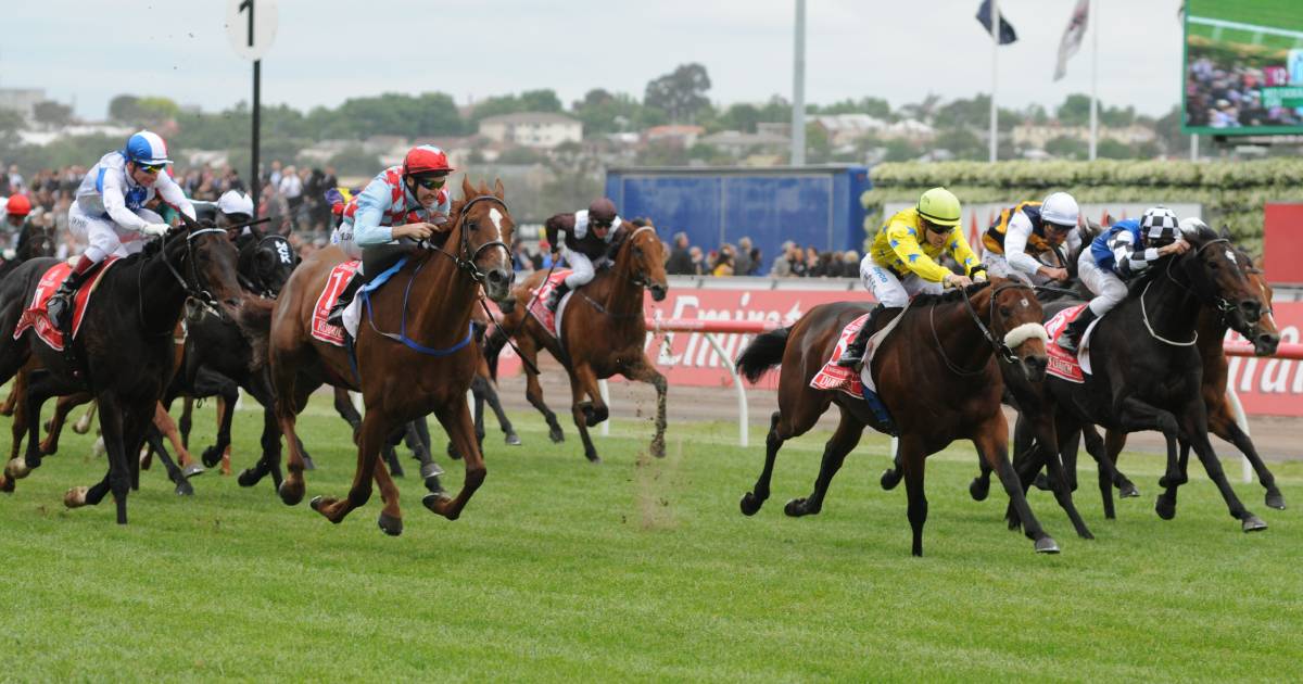 Prized Icon gets first-crop winner with Tropical Squall at Canterbury Park | The Land