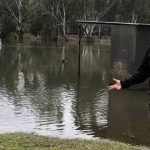 Charity wool auctions raise $13,000 for Royal Flying Doctor Service